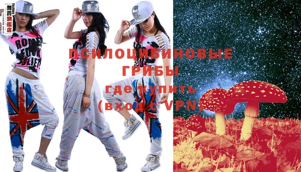 индика Алексеевка