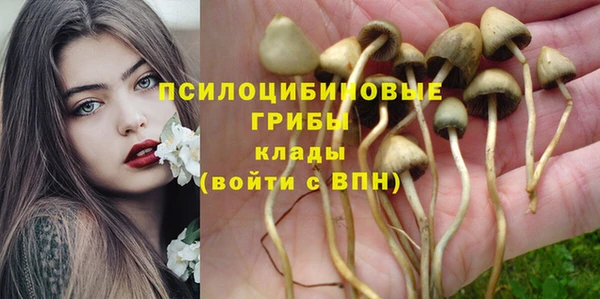 индика Алексеевка