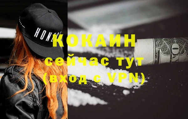 индика Алексеевка
