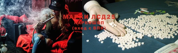 индика Алексеевка