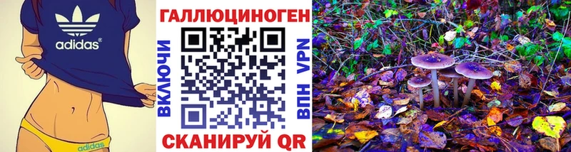 Псилоцибиновые грибы мицелий  купить   Белгород 